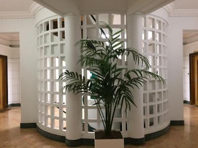 Magnifique Appartement Jean Medecin/Notre Dame Nizza Esterno foto
